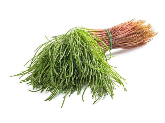 Barba di Frate (Mönchsbart)