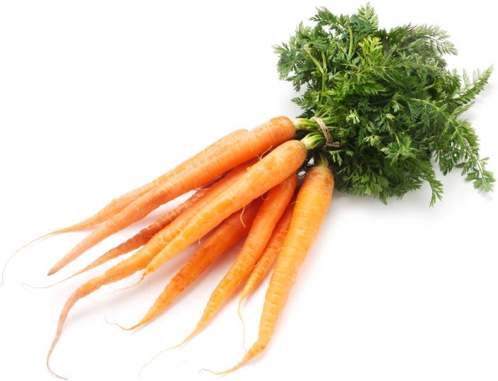 Bundkarotten Bund