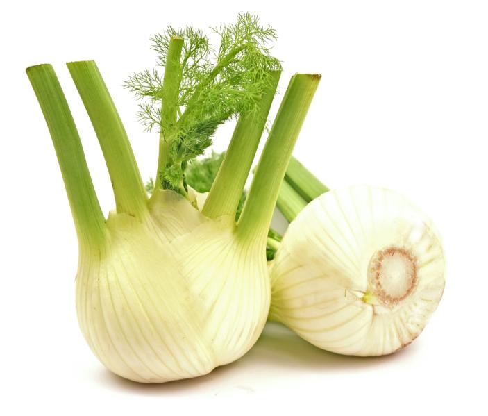 Fenchel