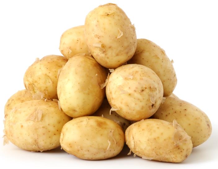 Frühkartoffeln gewaschen