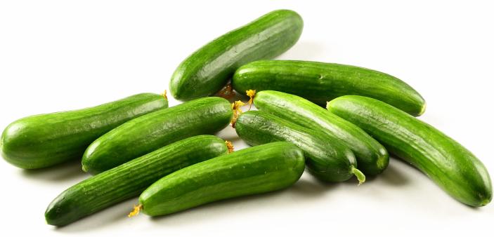 Gurken zu gross klein krumm