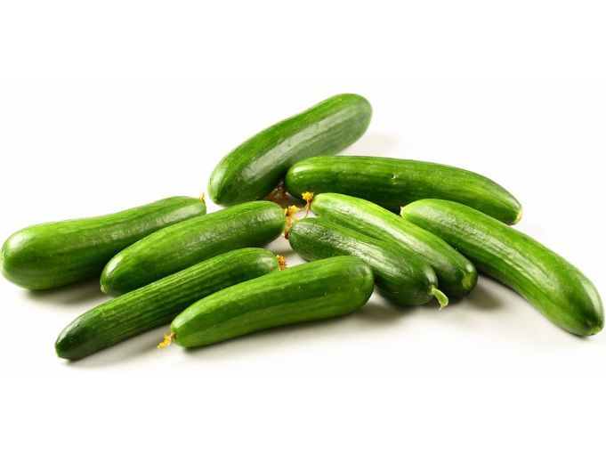 Gurken zu gross klein krumm