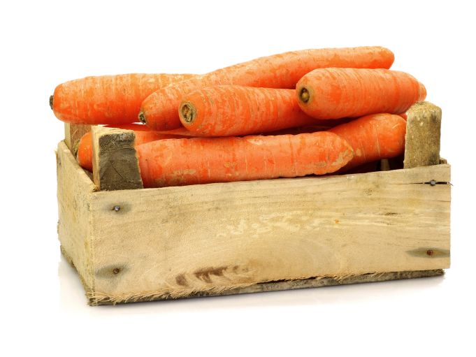 Karotten ungew. 10 kg (Lagerware)