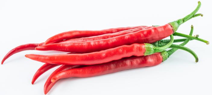 Peperoncini rot Cayenne lungo