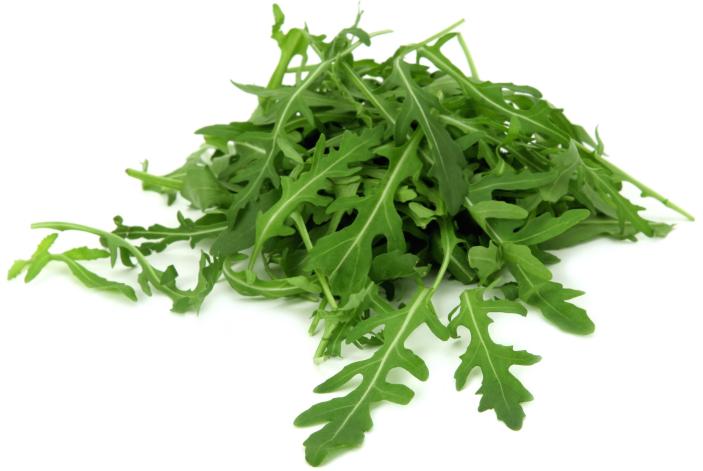 Rucola