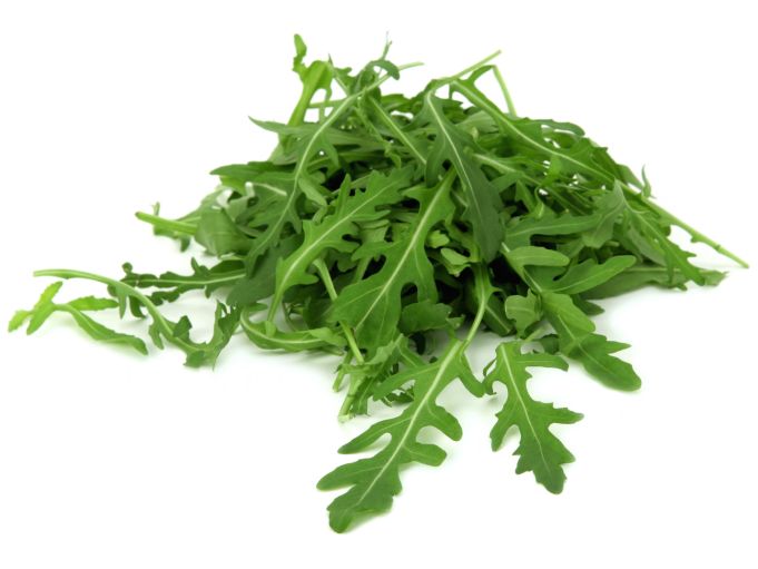 Rucola