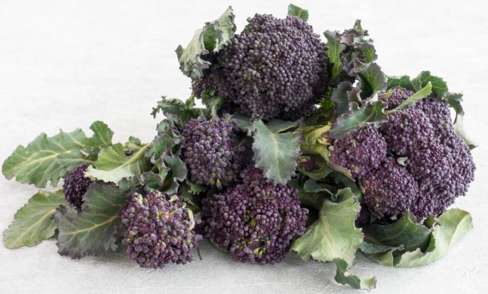 Sprossenbroccoli