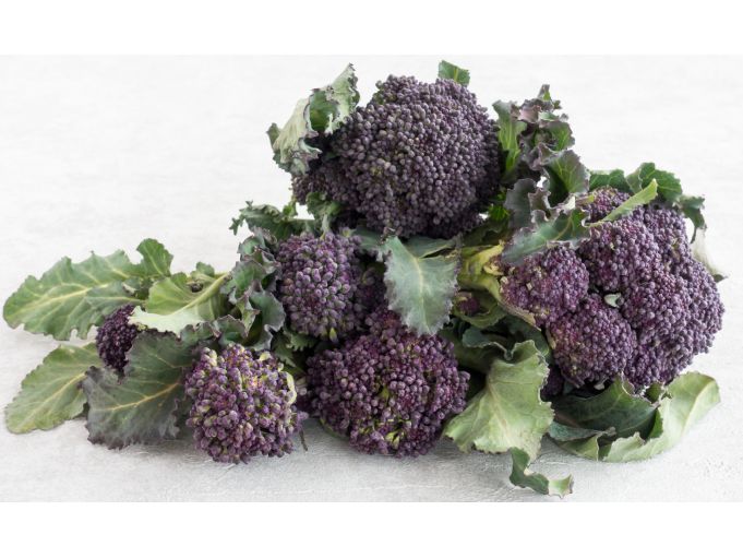 Sprossenbroccoli